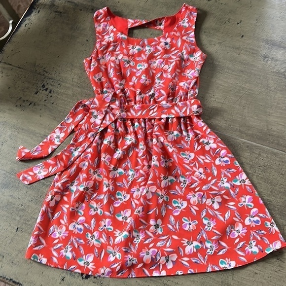 Gap Floral Print Cinch Waist Dress - Blaze - Picture 8 of 15